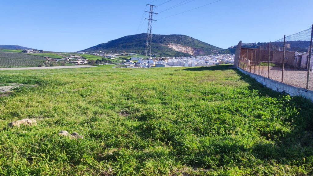TERRENO RUSTICO